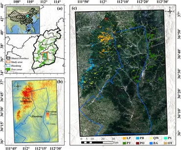 Frontiers | Leveraging Sentinel-1/2 time series and deep