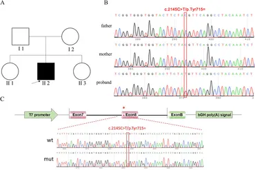 語学・辞書・学習参考書 Preimplantation Genetic Diagnosis Overview and Historical Perspective of Preimplantation