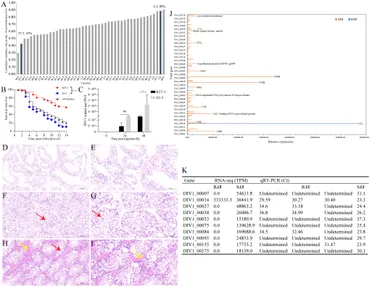 Frontiers | Integrated transcriptomic and microbiomic