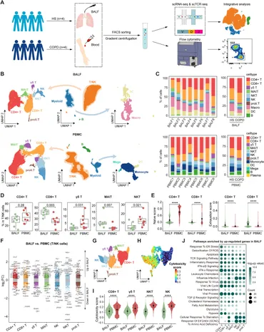サンプル　専用 Frontiers | Developmental immune network of airway