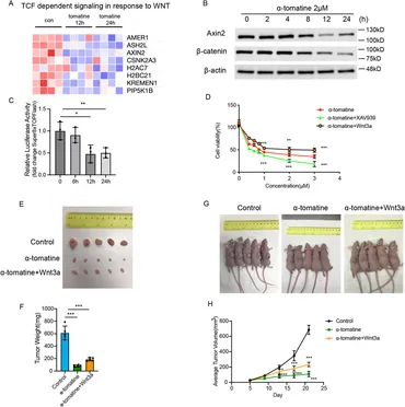 メジャー Intrahaplotypic Variants Differentiate Complex Linkage