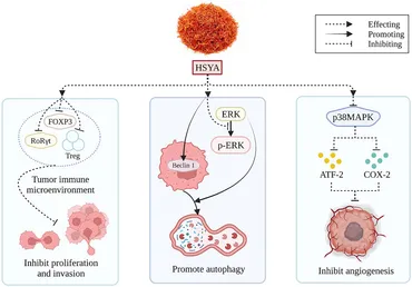 フィギュア19点 Frontiers | Pharmacological actions and applications of