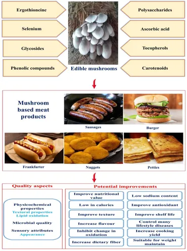 mi様 ハイライト4色入り2025 カワサキより2025年9月1日に「Ninja