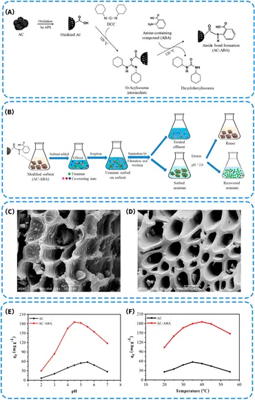 Frontiers | Research advances in carbon-based electrode