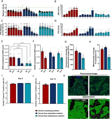Frontiers | Integral approach to organelle profiling in human iPSC