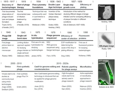 Frontiers | Evaluating phage lytic activity: from plaque