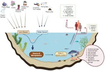 Frontiers | Microplastics in ecosystems: ecotoxicological threats