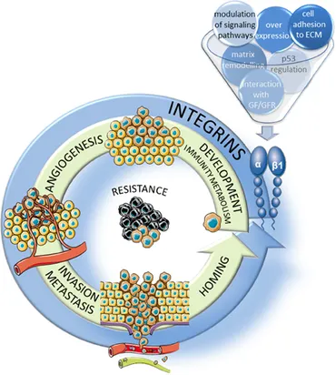 96様 ホンダ（HONDA） ライブディオZX | Live Dio ZXの型式・スペック
