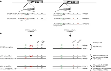 チェンジ３種セット Webike | ZETA ジータ パイロット レバー セット NINJA1000