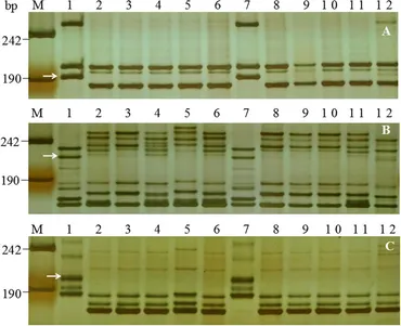 Frontiers | Characterization of a New Pm2 Allele Conferring