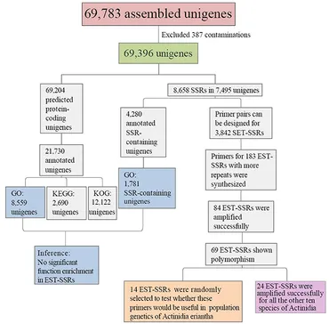 Mee様 ZXL-ME-(1)｜テルワールド（NTT中古ビジネスフォン販売店）