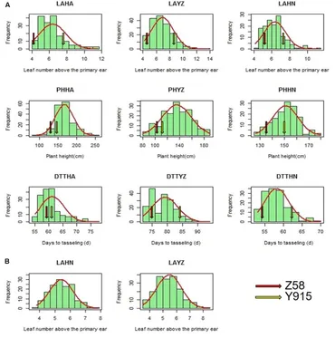 Frontiers | Genetic Mapping of the Leaf Number above the
