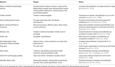 Frontiers | Solving the Neurogenesis Puzzle: Looking for Frontiers | Solving the Neurogenesis Puzzle: Looking for