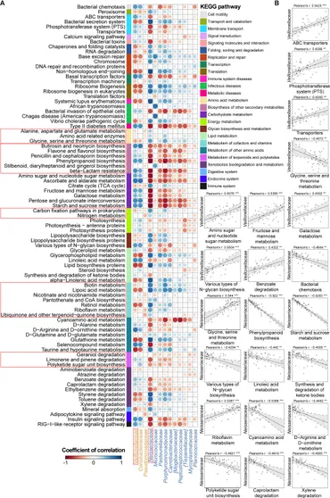 Frontiers | Dysbiosis and Ecotypes of the Salivary Frontiers | Dysbiosis and Ecotypes of the Salivary