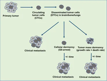 ＪＵＮ Silencing P2X7R Alleviates Diabetic Neuropathic Pain