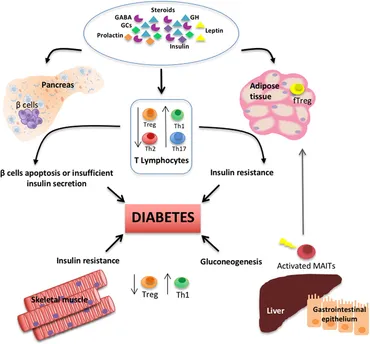 Frontiers | Interactions Between the Neuroendocrine System