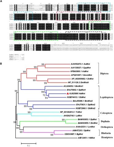 fphys-09-01601-g001.jpg