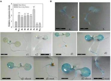 専用ページ② fpls-09-01633-g001.jpg