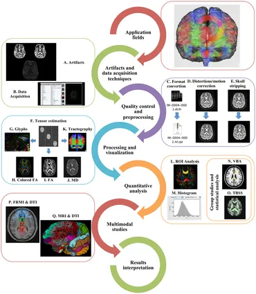 Frontiers | A hitchhiker's guide to diffusion tensor imaging