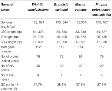 Frontiers | Does the Enigmatic Wightia Belong to