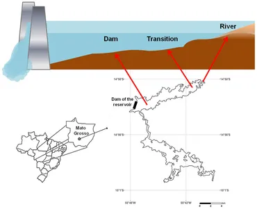 Frontiers | Spatial variation of sediment mineralization supports