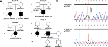 Frontiers | The Precise Diagnosis of Wolfram Syndrome Type 1