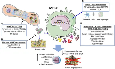 RAI RAI　その2 mqdefault.jpg