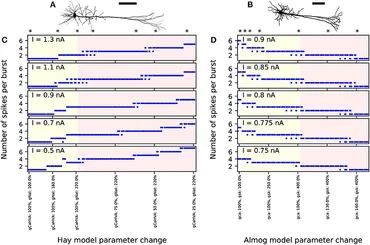 Frontiers | Computational Modeling of Genetic Contributions