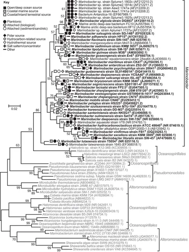fmicb-04-00136-g001.jpg