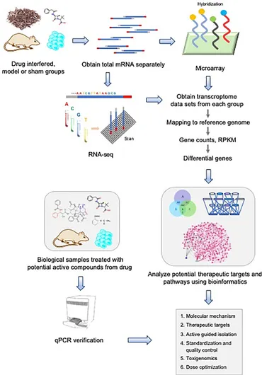 fgene-11-00019-g001.jpg