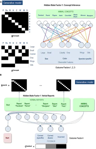 Model Selection and Multimodel Inference: A Practical