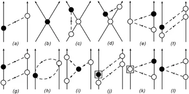 fphy-08-00218-g001.jpg