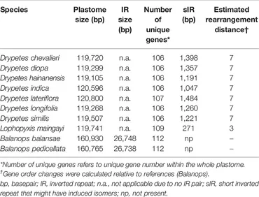 Frontiers | The Loss of the Inverted Repeat in the