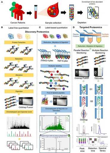 Targeted proteomic assays for quantitation of proteins