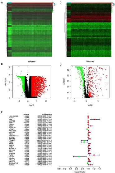 専用トピック Frontiers | Application of Induced Pluripotent Stem Cell