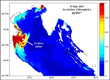 Eutrophication in Coastal Ecosystems: Towards better