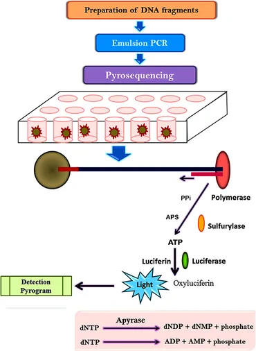 Judgement – Process How Long Will Trump's Immunity Appeal Take? Analyzing the