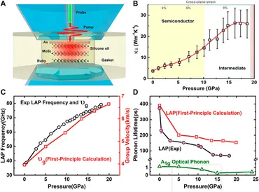 Frontiers | Thermal Transport in Two-Dimensional