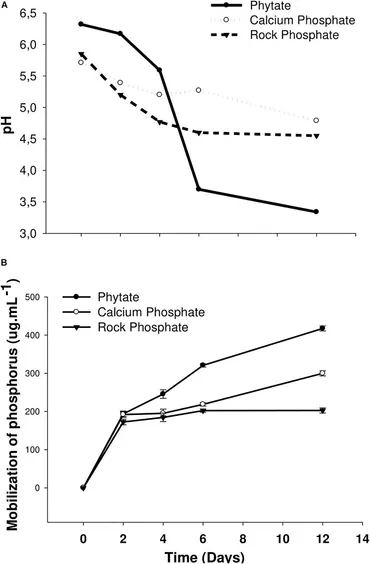Frontiers | An Actinobacterium Strain From Soil of Cerrado