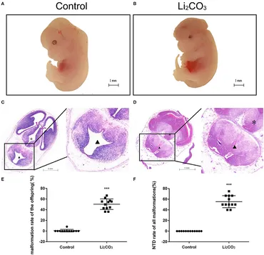 テスト Contributions of Cs and Rb on Inhibiting Photo-induced Phase