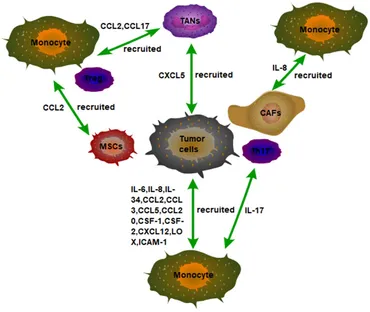 fonc-10-590941-g001.jpg