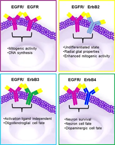 nonn！ The Role of Alpha-Synuclein and Other Parkinson's Genes in