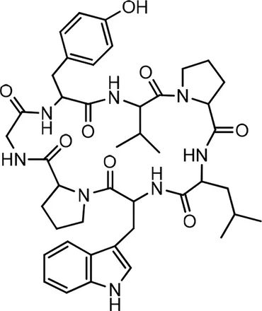 61QMV5FysFL._AC_UF350,