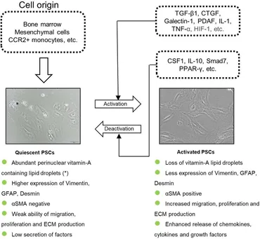 Frontiers | Prospects and challenges of CAR-T cell therapy
