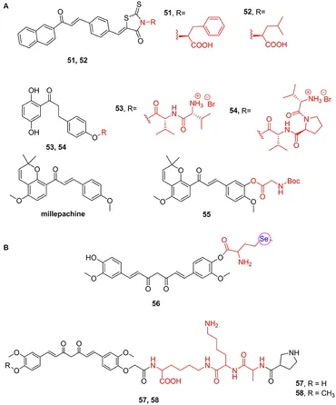 Frontiers | Application of Amino Acids in the Structural