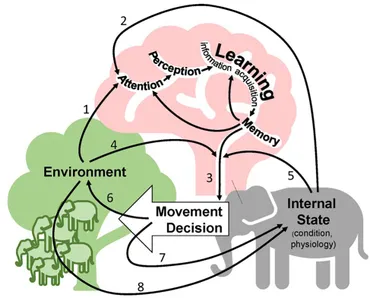 Frontiers | Learning and Animal Movement