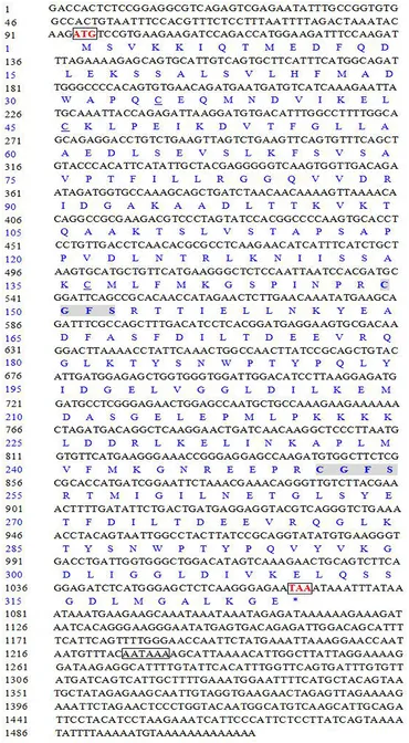 Frontiers | Molecular Characterization and Expression