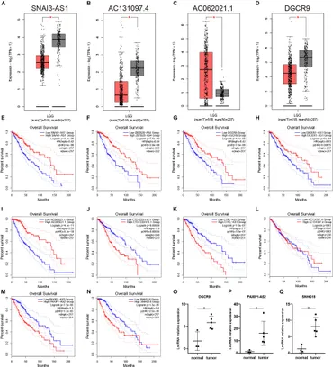 Frontiers | A Novel Inflammatory lncRNAs Prognostic