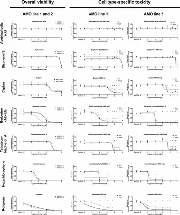 専用！AとB Emerging Brain‐Pathophysiology‐Mimetic Platforms for Studying