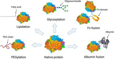 fbioe-09-717326-g001.jpg